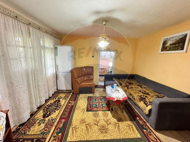 Casă traditionala cu potential de vânzare-HEMEIUS - 8