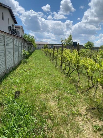 Stefanesti de Jos DJ200  Str Stadionului   Vanzare teren intravilan 3000mp - 6