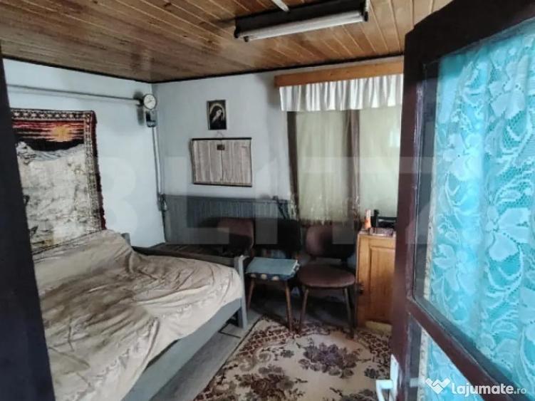 Cabana 5 camere Salard - 12