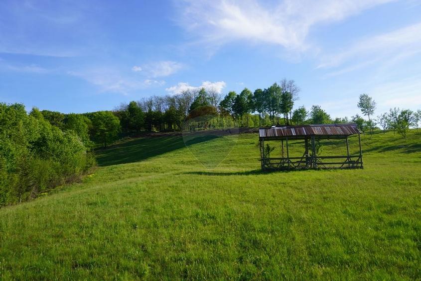 Teren 15,000mp Sighetu Marmatiei / Strada Mocăniței - 12