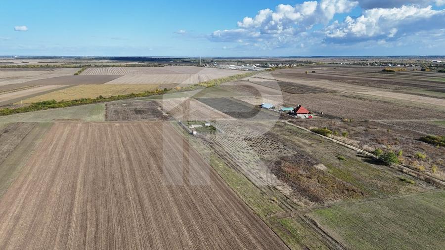 Refugiu la marginea padurii — 2822 mp de liniste in Cocani. - 7