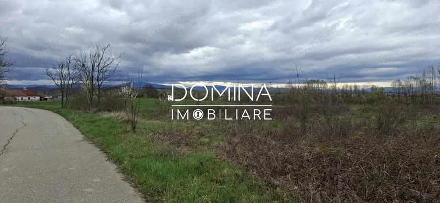 Teren intravilan 20.386 mp in Calnictraversat de rau, 19 km de Tg Jiu - 2