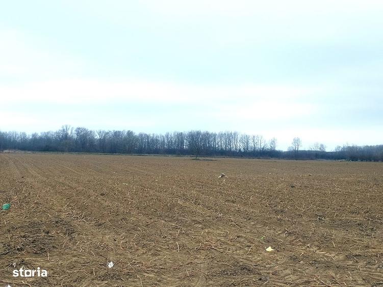 Teren extravilan 15.000 mp oportunitate investi?ionala - 4