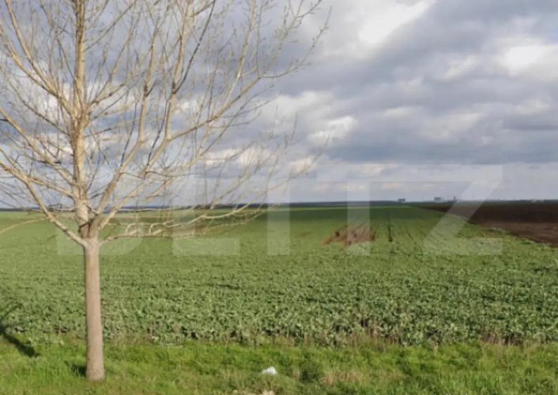 Teren 15.000 mp, 28 parcele, Peugeot/Pielesti - 1