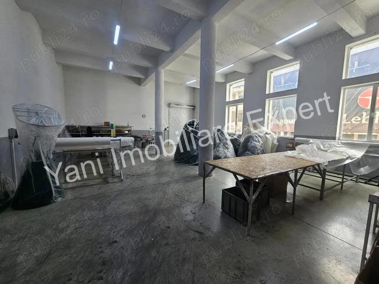 Proprietate cu multiple hale, de vanzare in comuna Baicule?ti, jude? Arge?. - 10