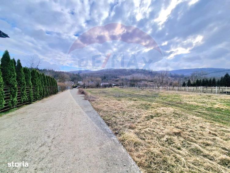 Teren Intravilan generos la intrare in Luncani - 4