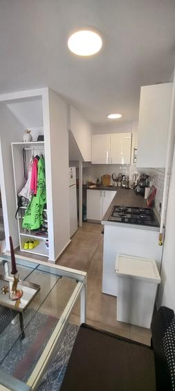 Apartament 2 camere Calea Calarasilor cu gradina - 13