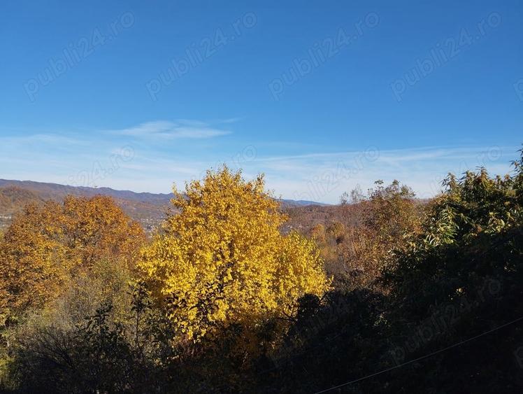 Casa si livada, de vanzare in localitatea Pausesti-Maglasi, sat Coasta. - 8