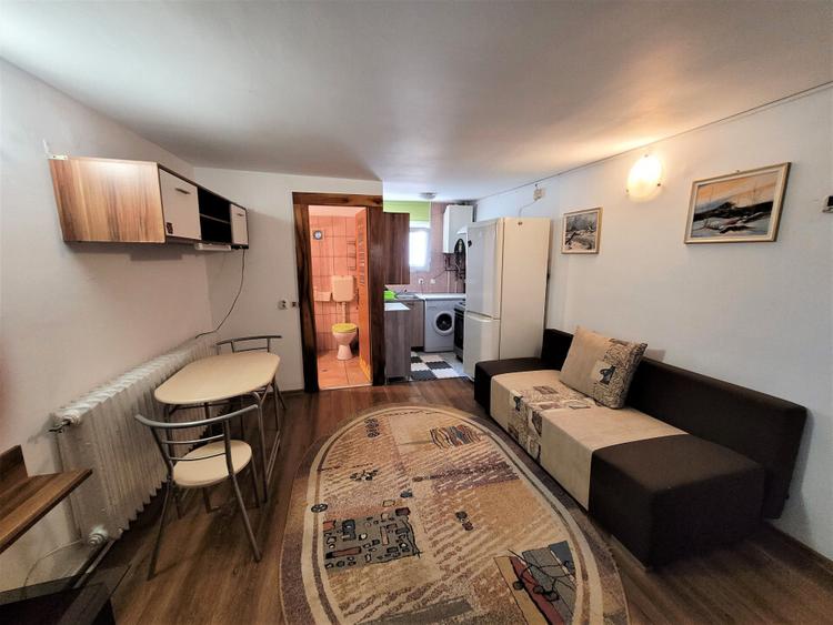 Casa pet friendly in Plopilor - 1