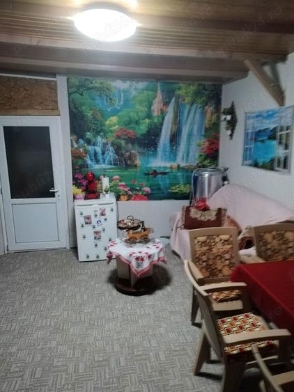 Casa Cotinesti - 6