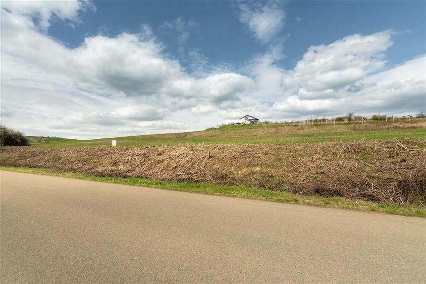 Teren intravilan Cetariu - 2