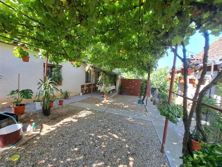 RECO casa dubla Cadea - 26