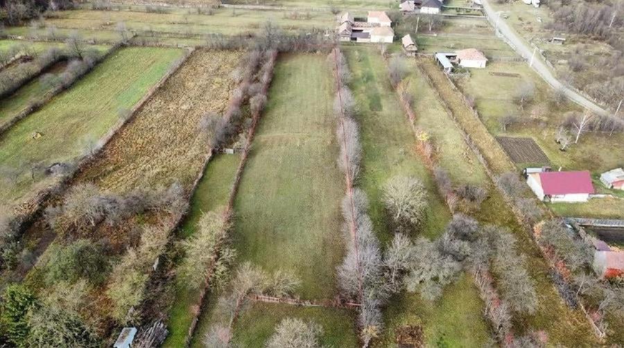 Vand teren in Sat Sulta, com. Agas, Bacau - 4