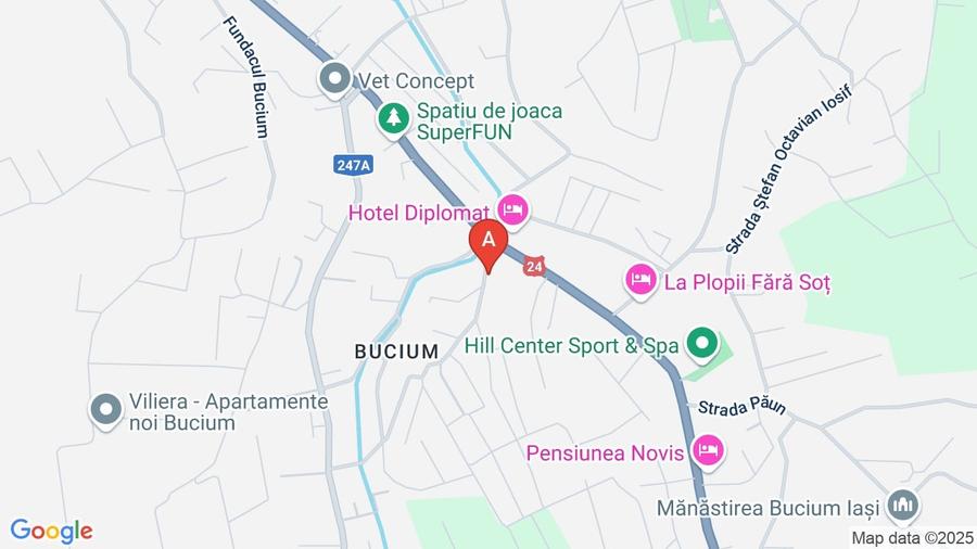 Apartament cochet 2 camere Bucium -Jazzu Apartments, cu parcare privata imprejm - 12