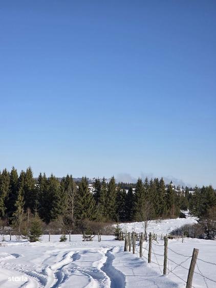 Teren 4000mp, in zona montana, Belis/Cluj - 6