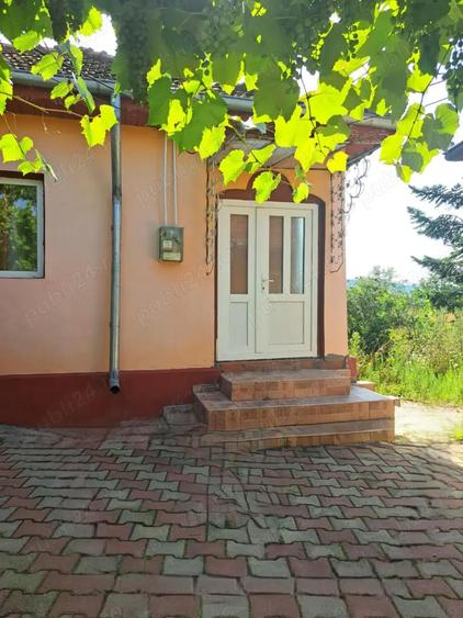 Vand locuinta Plescoi, Buzau - 7