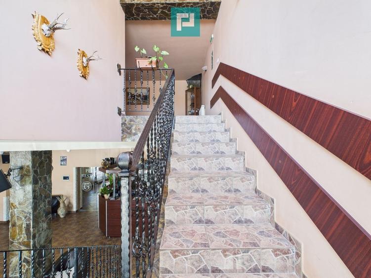 Pensiune la Orțișoara - 5