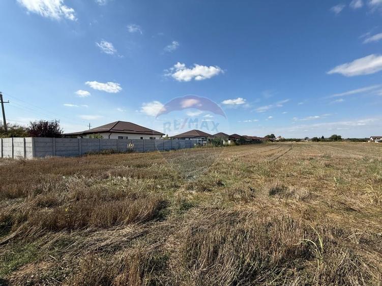 Vand teren intravilan 5000 mp in Sabareni - 9