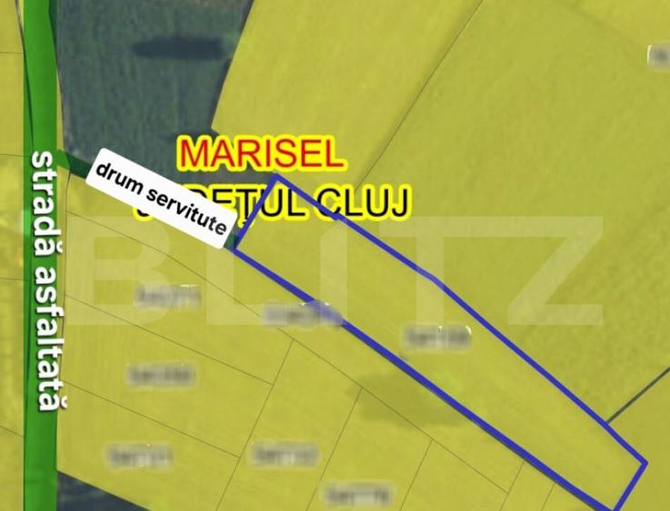 Teren parcelabil, front la strada, 2194mp, utilitati in zona - 4