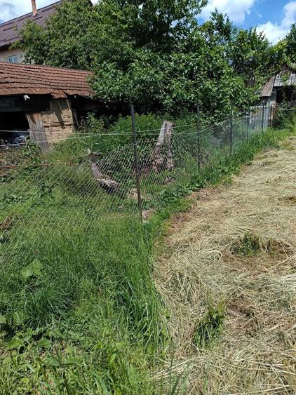 Teren de vanzare intravilan Baia Sprie - 5