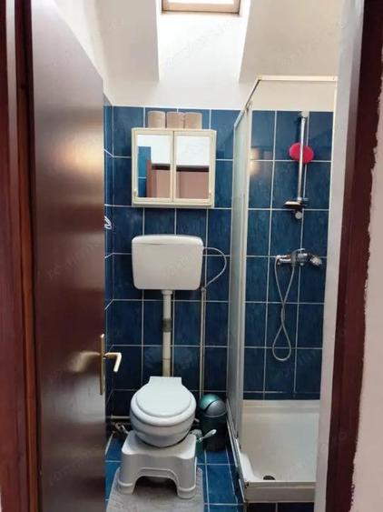 Apartament la casa 2 camere Calea Dumbravii - 13