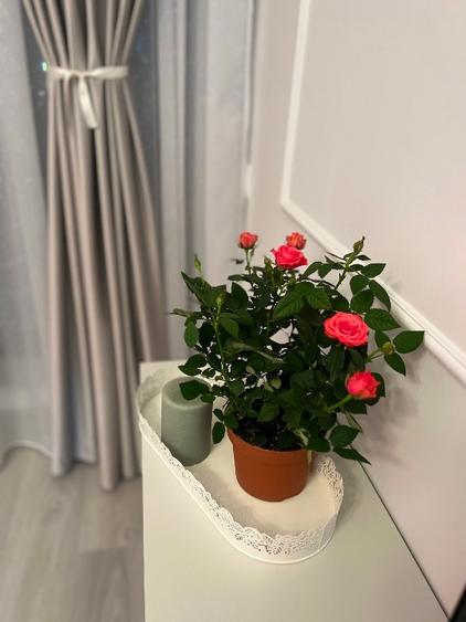 APARTAMENT  2 cam. Bloc nou + PARCARE privata - 7