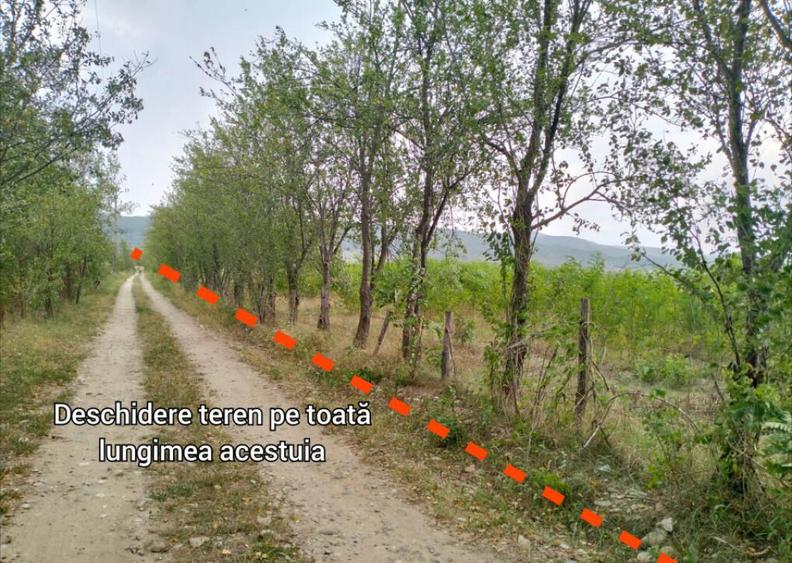 Oportunitate de investitie, teren intravilan, 6018 mp, Ungur - 3