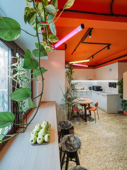 Spatiu Office Versatil de Inchiriat – Parter in vila - Arcul de Triumf - 8