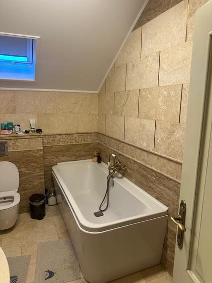 BRANESTI-VILA SUPERBISSIMA,LA LAC,PISCINA,FANTASTICA,UNICAT,700000 EURO - 33