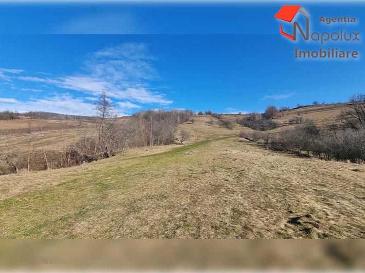 Teren de exceptie 3,1 ha intravilan | Panorama, utilitati, acces dublu | Sardu - 4