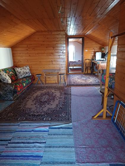 Vand Casa + garaj Sofronea - 3