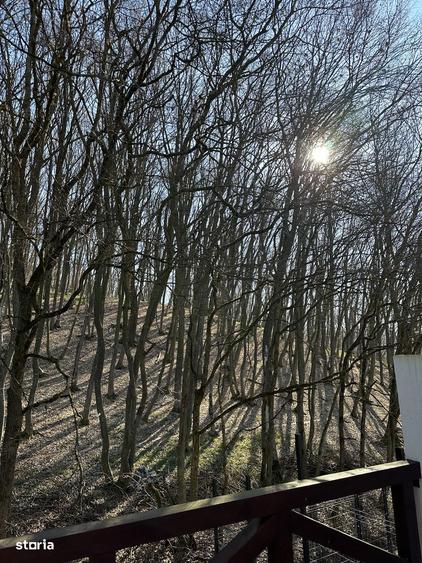 DUPLEX DE VANZARE IN CORUNCA - 3