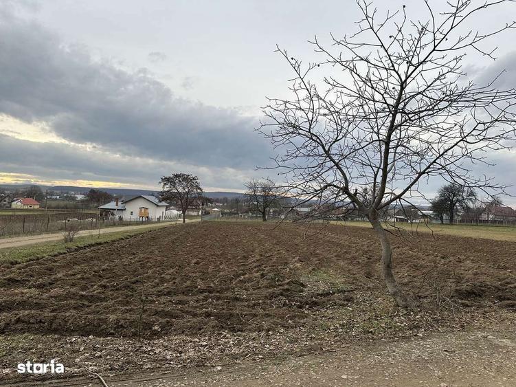 Teren intravilan in Mitoca?i - 6