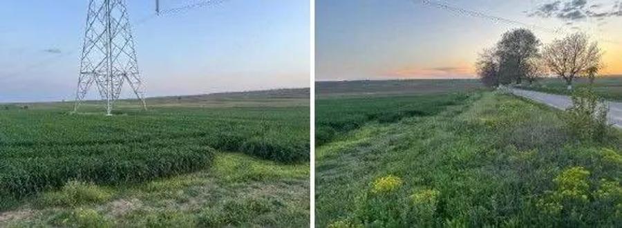 Teren cota parte 1/6 Paunesti, ID: R2547851 - 6