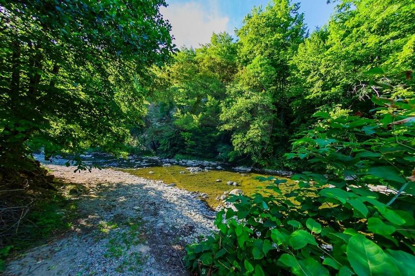 SARBATORI DE CRACIUN IN CASA NOUA, LA MUNTE! - COMISION 0% - 9