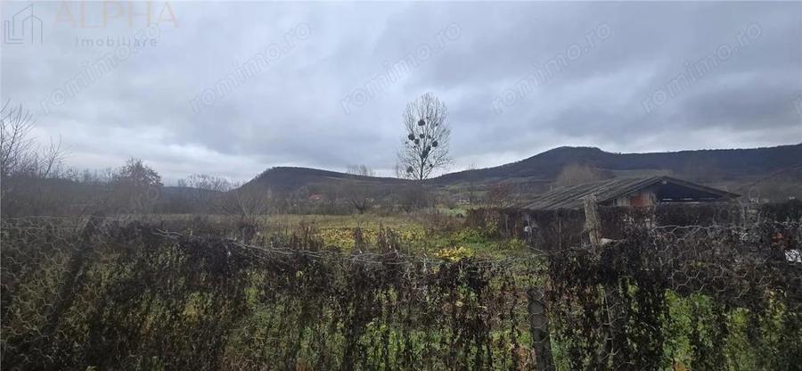 Casa de vanzare in localitatea Chirales, judetul Bistrita-Nasaud - 10