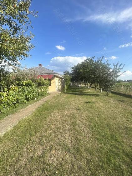 Vand casa in Cordun zona buna - 11