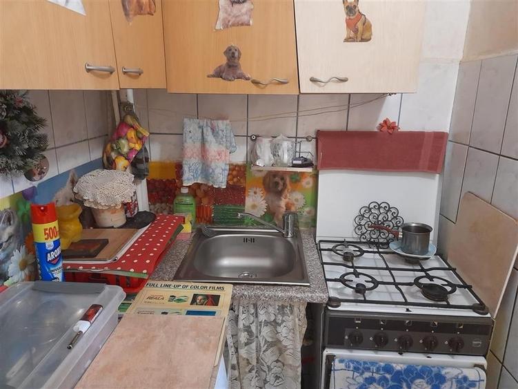 Garsoniera Etaj 2 zona Buziasului - 10