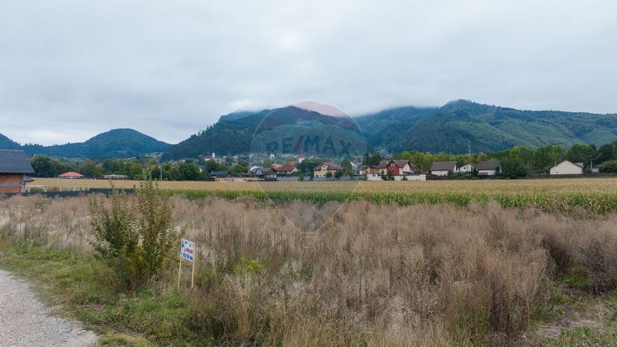 Un lot de casa intrare Sacele 790 mp + 3 loturi de 440mp - 7