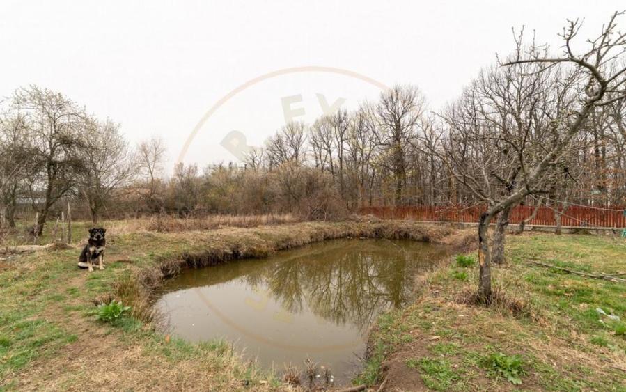 Casa cu lac priveliste superba spre padure 0% Comision - 1