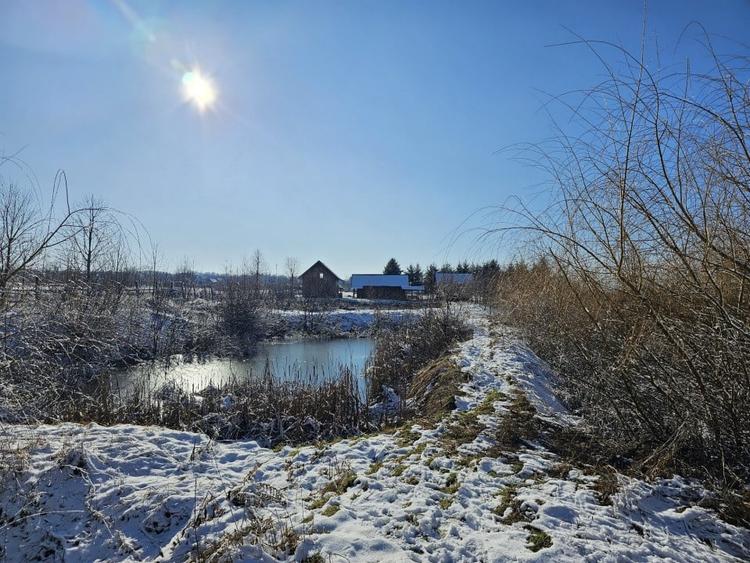 Casă de vacanță cu 6 camere + teren suprafață 7.384 mp, Brădet, Bihor - 4