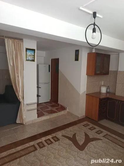 Persoana Fizica: Vand Apartament 1 Camera (27mp) cu Intrare Separata Cartier Mara?ti - 4