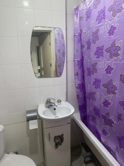 De inchiriat apartament cu o camera in zona Aradului - 3