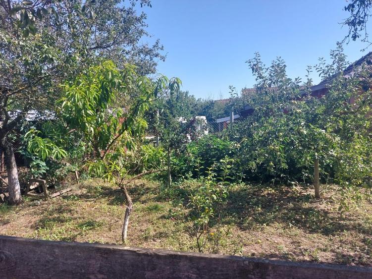 Vand casa in localitatea Vasad - 8