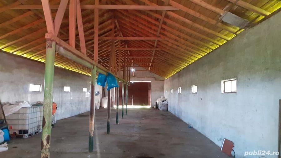 De vanzare Teren ?i Conac Brastava?u, Olt - 2