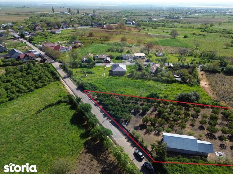 Casa cu 3094mp livada Cotesti - 5