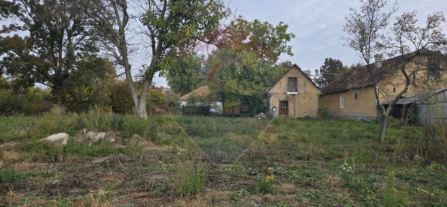 Teren generos cu potential în comuna Silindia, judetul Arad - 4