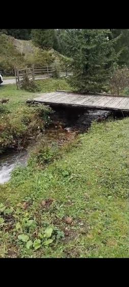 TEREN DORNA ARII - 15