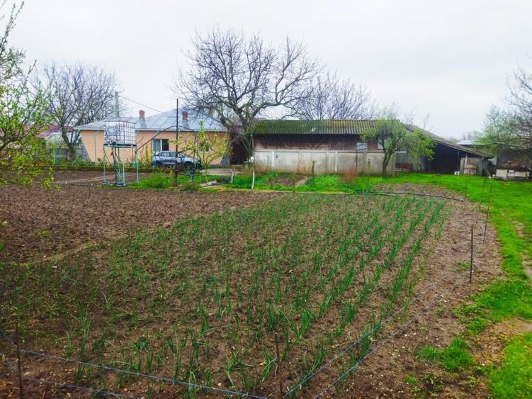 Casă Scrioaștea Cucueți lângă Roșiorii de Vede 200 mp teren 3000 mp - 8