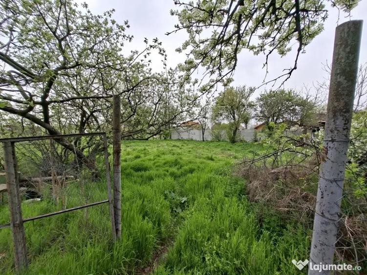 Casa de vanzare in Obarsia de Camp Judet Mehedin?i - 4